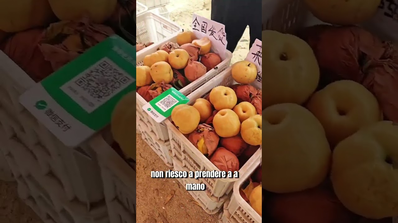 Il vero mercato in campagna della Cina 