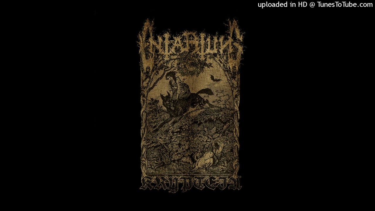 The Nox Entity, Flucht in die Finsternis, Metal