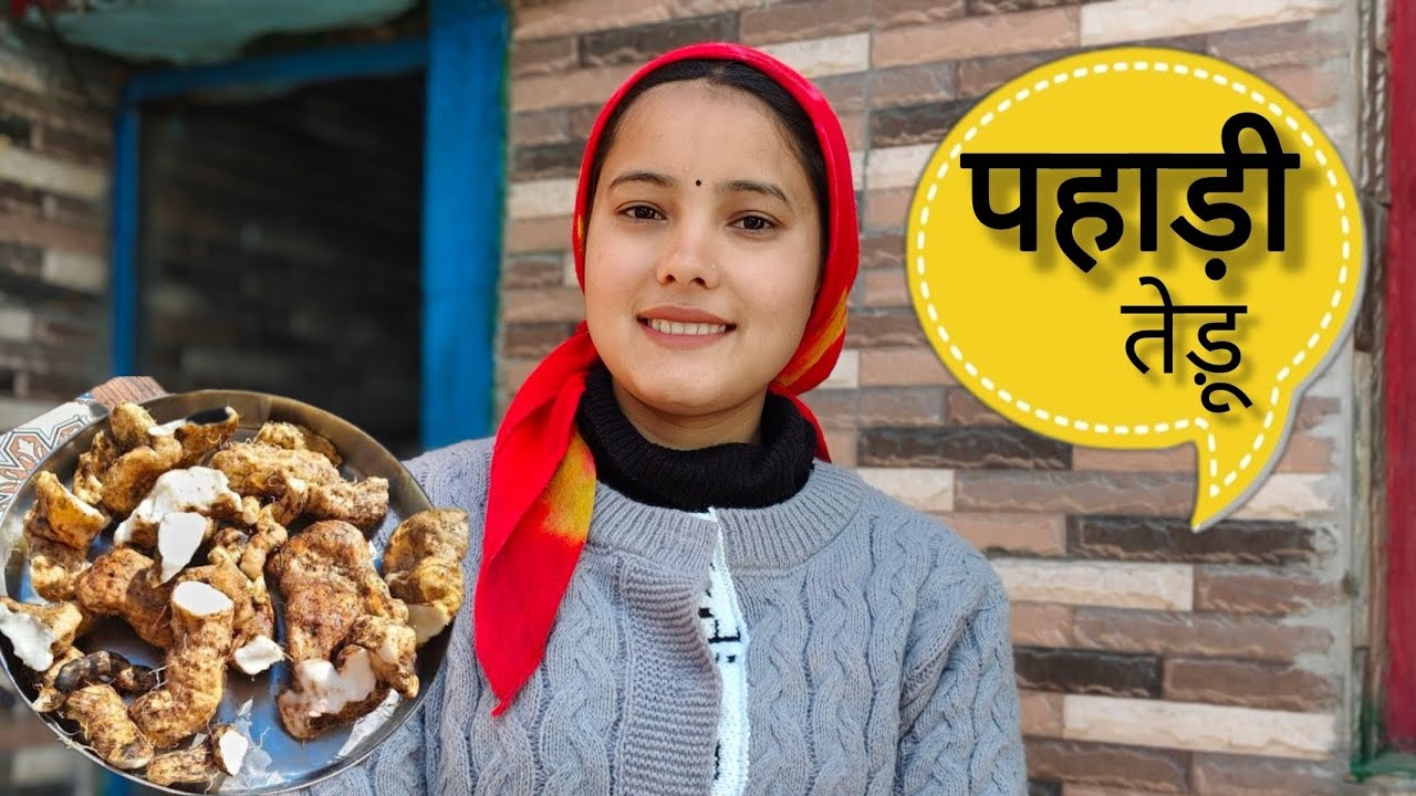 आज निकाले खूब सारे तेंडू |Lucky rawat vlogs|pahadi lifestyle vlog|