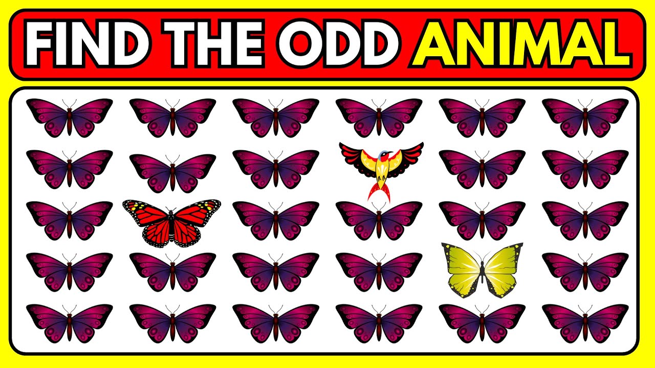 Find the ODD One Out – Animal Edition 🐶🦁🦊 | Easy, Medium, Hard – Level 82 | Mindful Mosaic 2.0