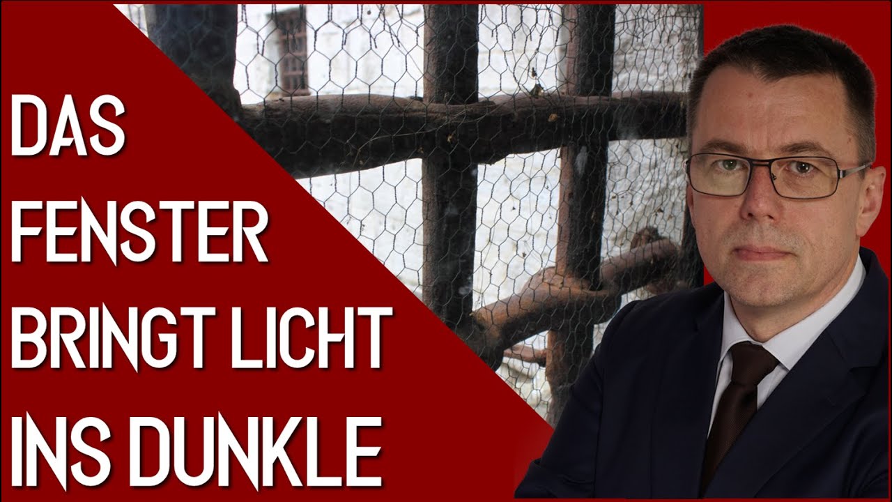 Das Fenster bringt Licht ins Dunkle