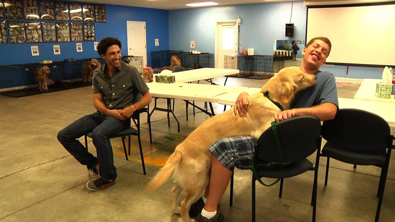 Service Dogs For The Disabled