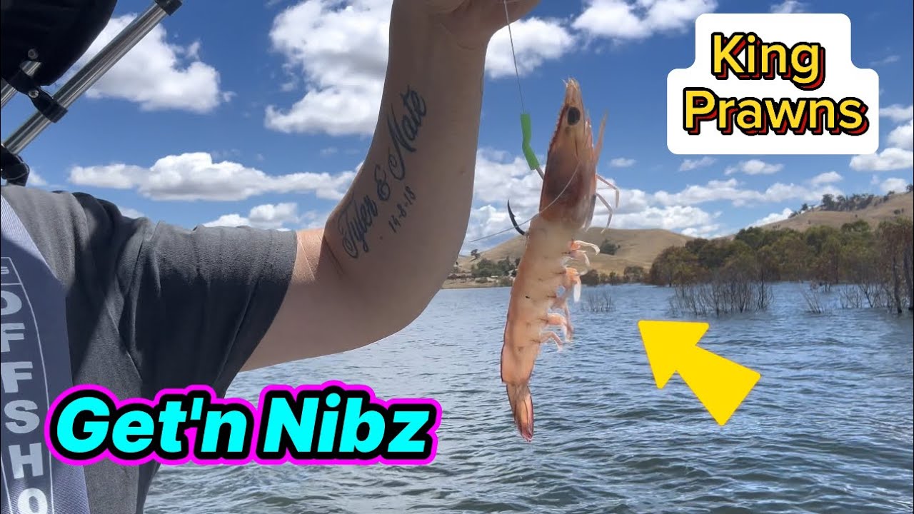 Рыбалка на озере Эйлдон | Бонни Дун | Get’n Nibz