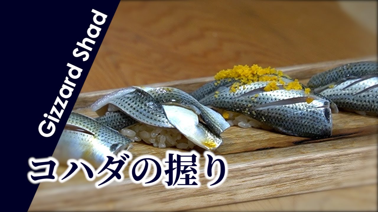 コハダの握り【捌き方/握り方】