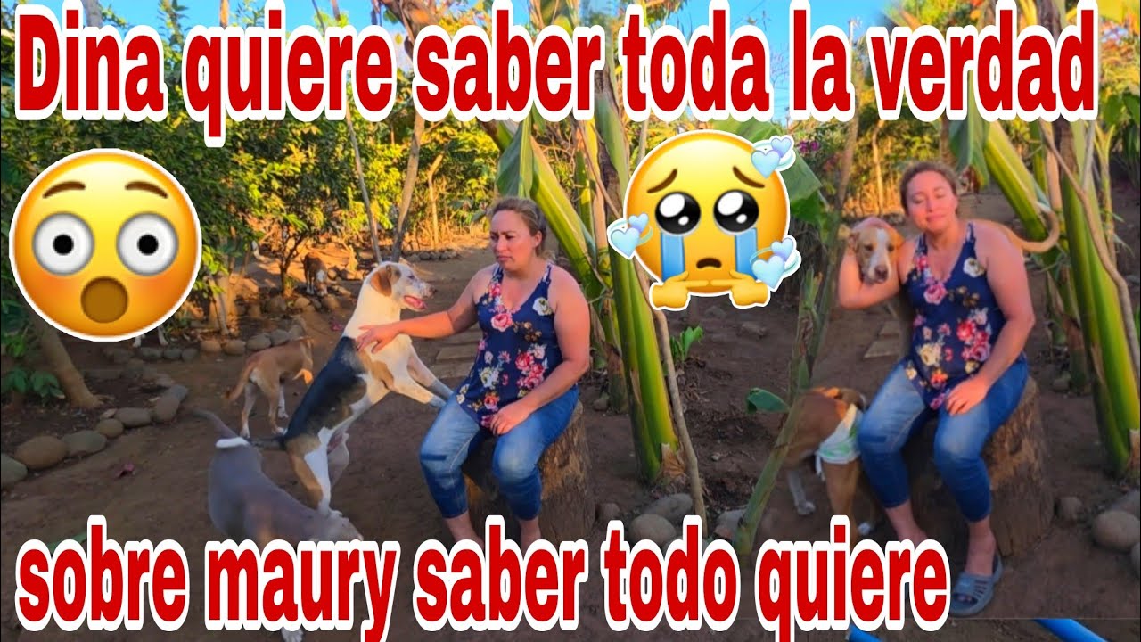 Porque maury no es sincero con la Dina le exije saber todo esto😱😳😡