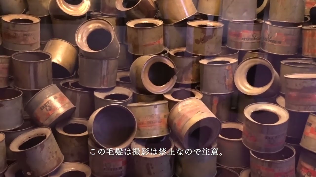 【🇵🇱POLAND】アウシュビッツ強制収容所・ビルケナウ(2023/03/05)