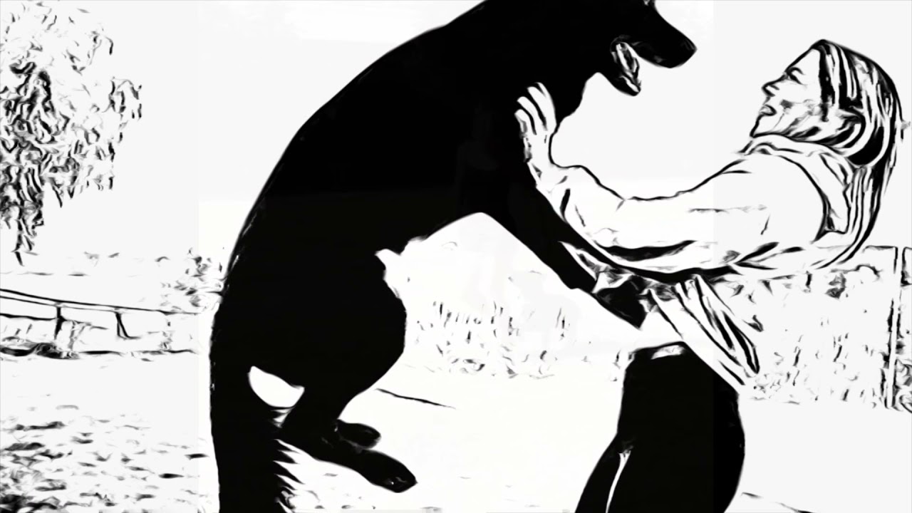 Happy dog training by Anna Bj&ouml;rk - educated dog training