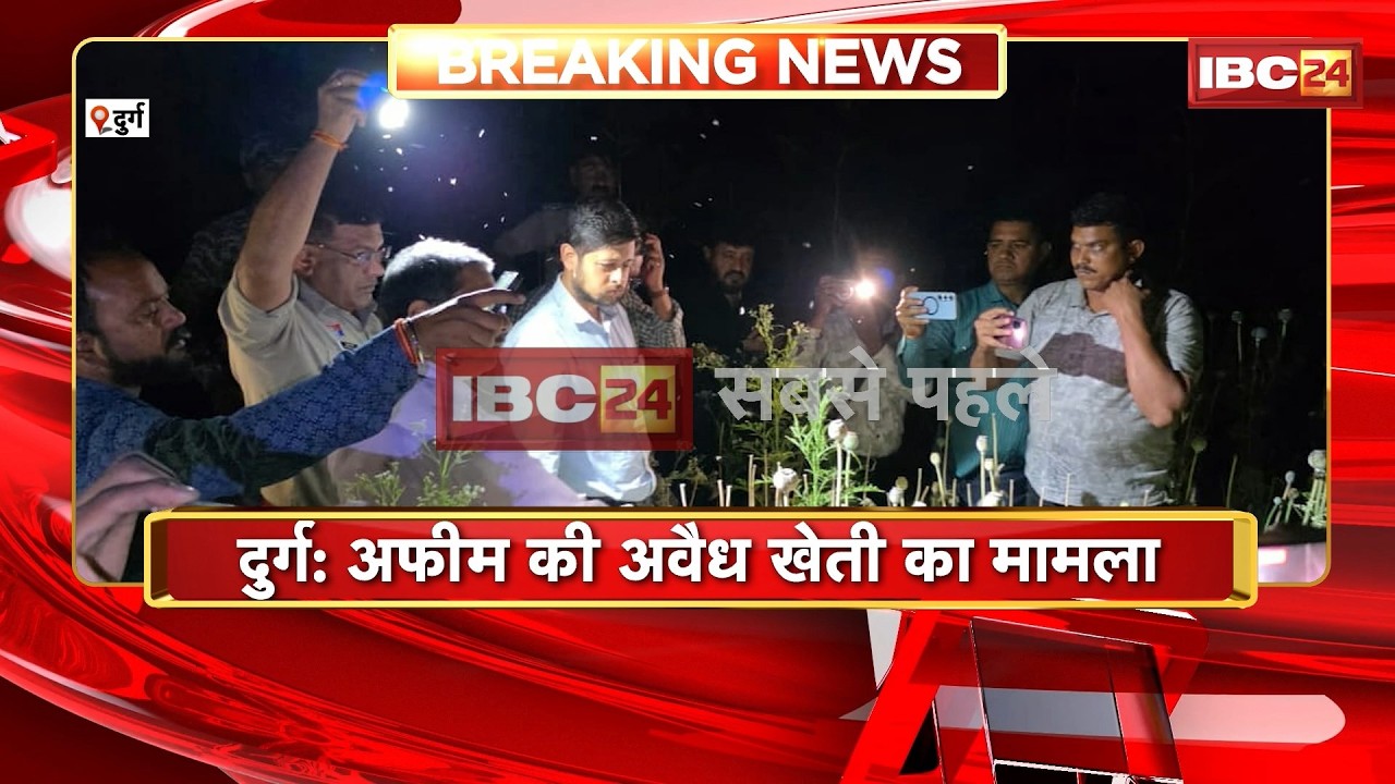 Durg illegal Opium Cultivation: अफीम की अवैध खेती का मामला। कलेक्टर अभिजीत सिंह पहुंचे अफीम के खेत
