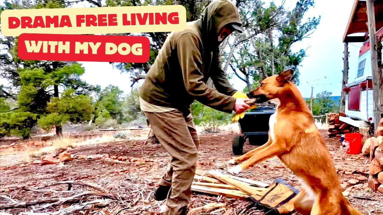 I Chose To Leave Society & Build a Calm, Off-Grid Life With NO DRAMA