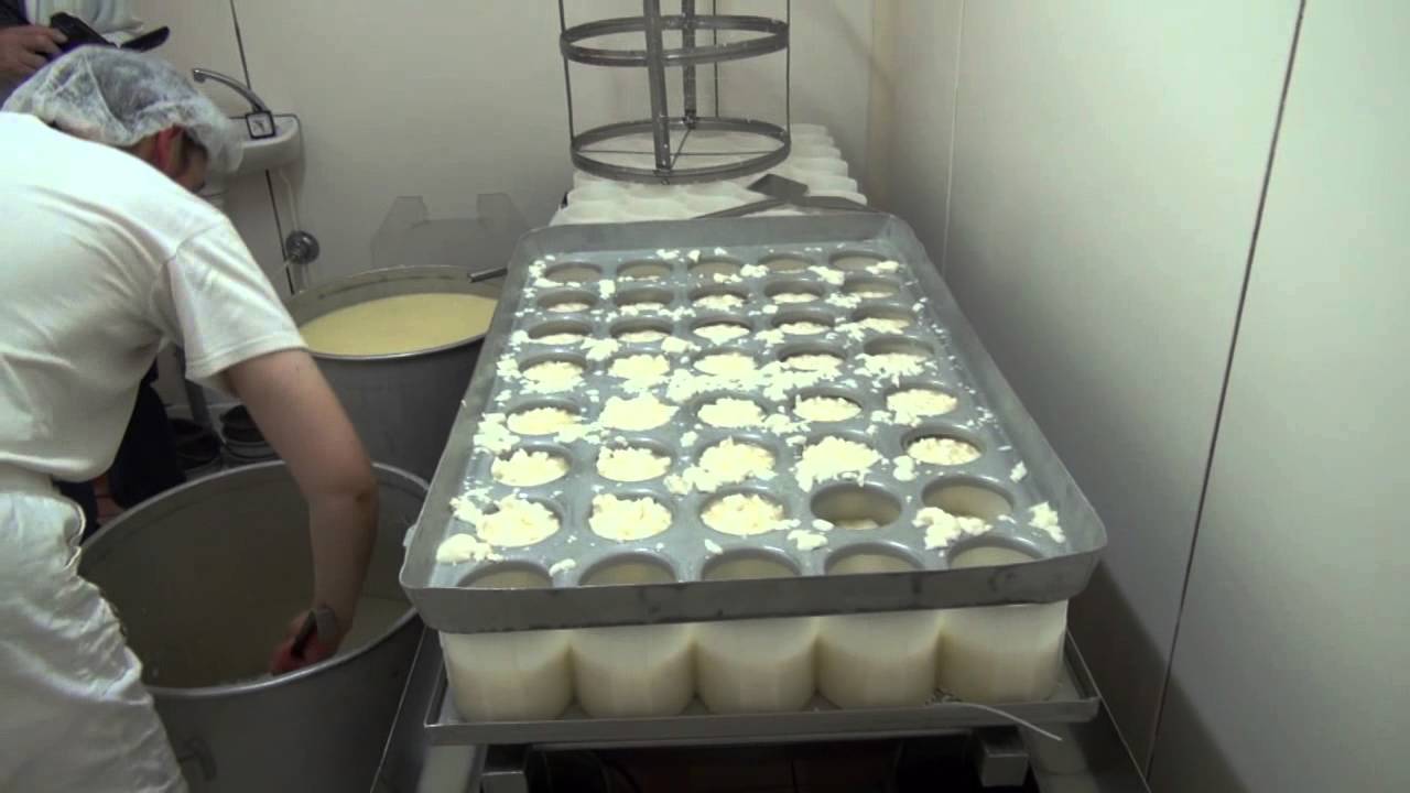 CLT Video 