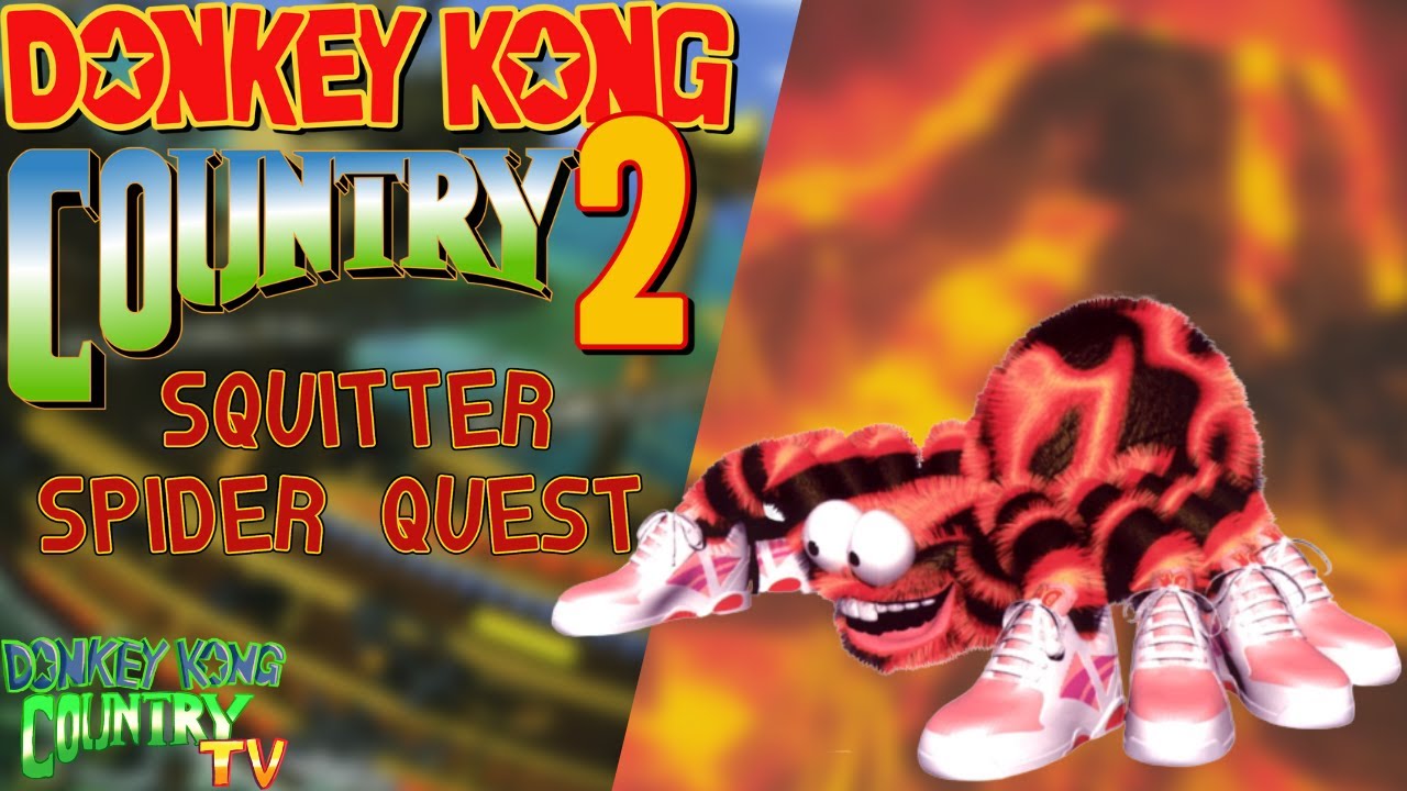 Donkey Kong Country 2 : Squitter' Spider Quest / #part1 (DKC 2 Hacks)