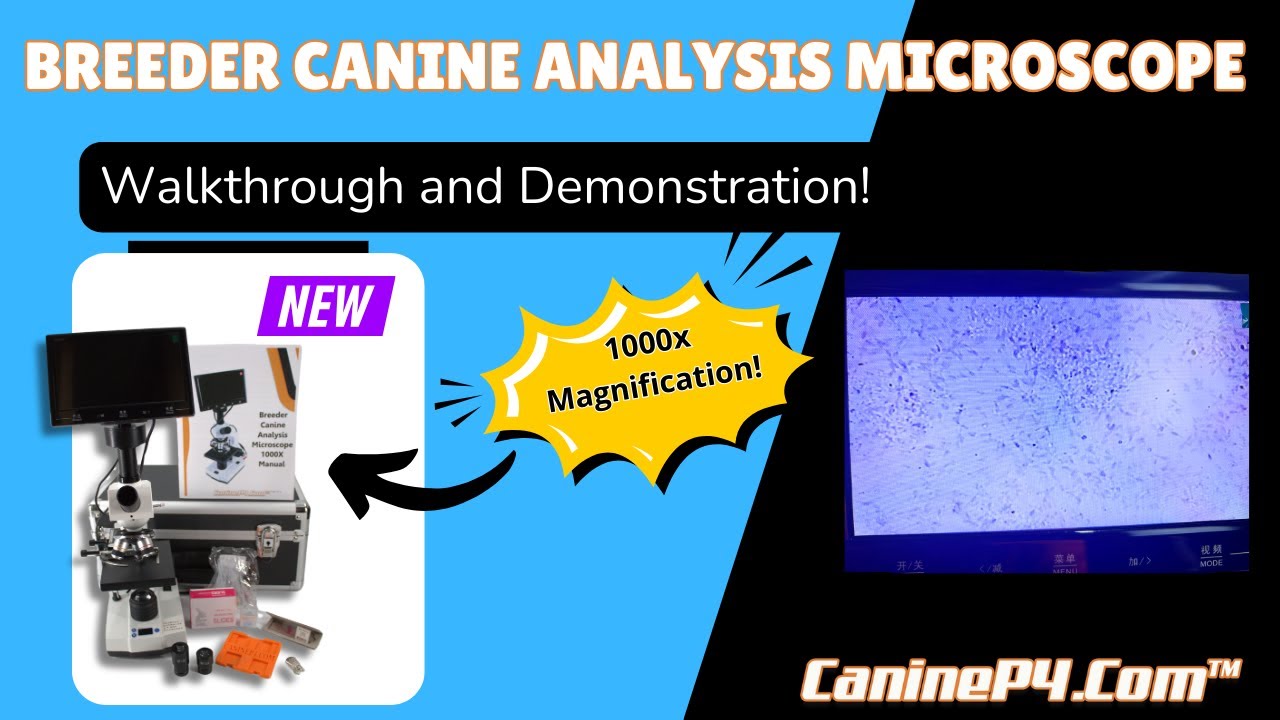Breeder Microscope Demonstration | Breeder Canine Analysis Microscope 1000x
