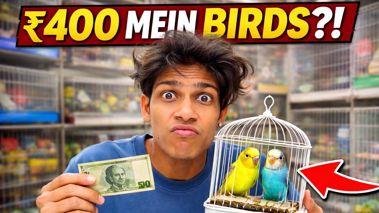 Finally New Birds Aa Gaye 🐤