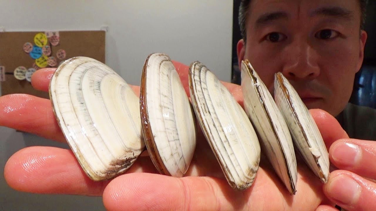 쫄깃한 조개를 일본식 초된장(스미소)와 함께 White Clam with Japanese style of miso sauce | Clam recipe