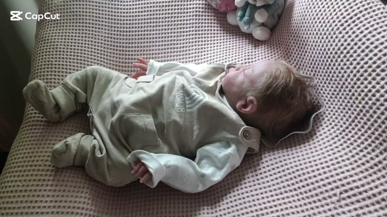 ☆ Zum Schluss kommen , der Luca & Ares ☆