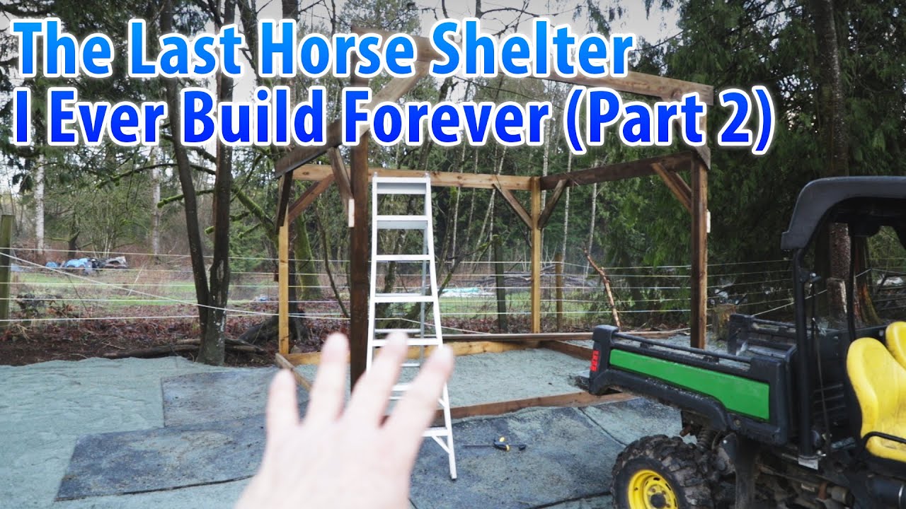 The Last Horse Shelter I Ever Build Forever (Part 2)