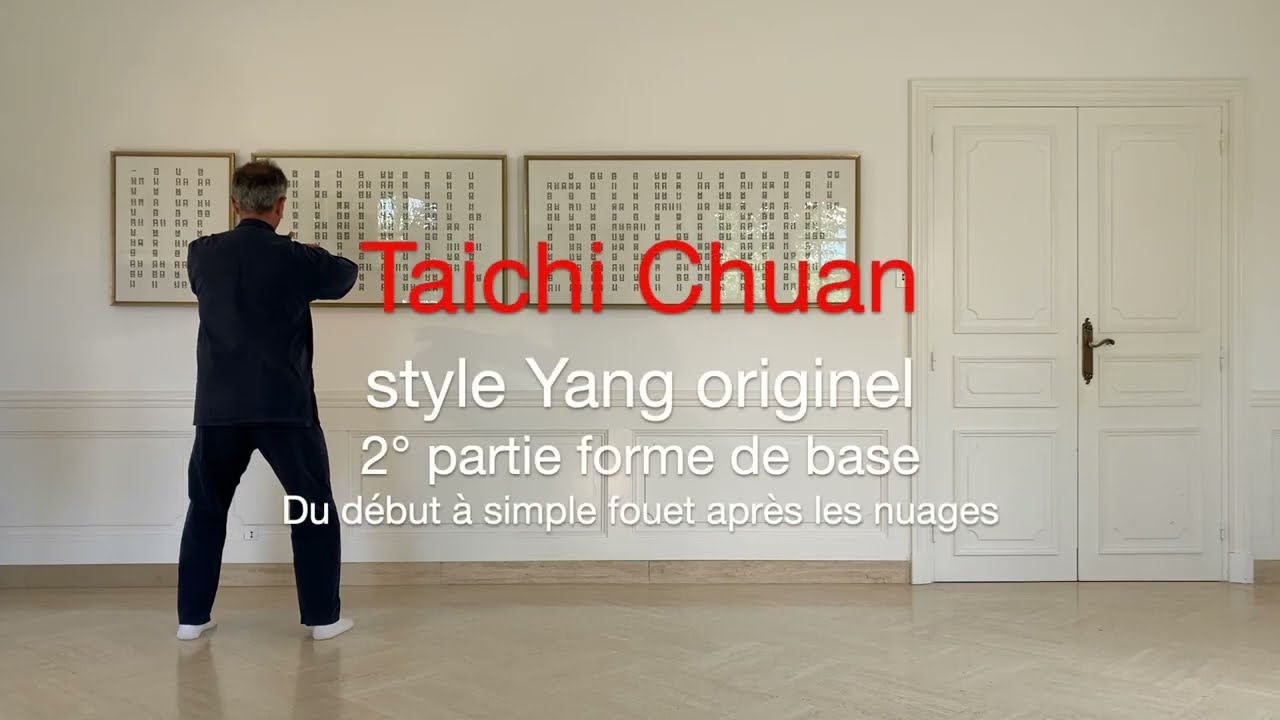 2°partie 1/2 - Forme de base - Yang originel.