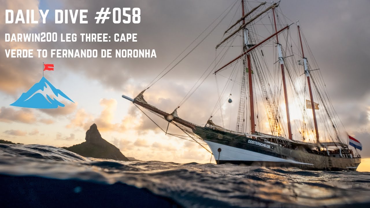 Daily Dive # 058 | Darwin200 Leg Three: Cape Verde to Fernando de Noronha