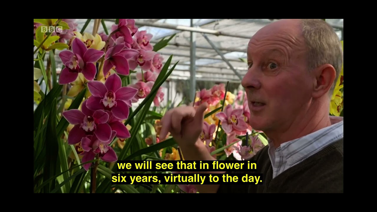 Gardener&rsquo;s World 2021 - Episode 5