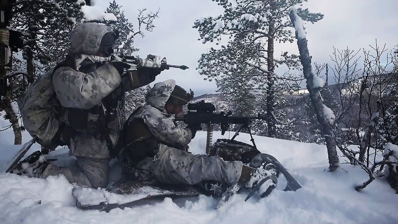U.S. Marines Train in Norway for Exercise Joint Viking 25 (March 2025)
