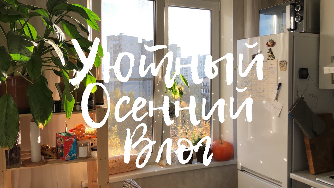 Осенний влог / читаю / гуляю / болтаю 🍁