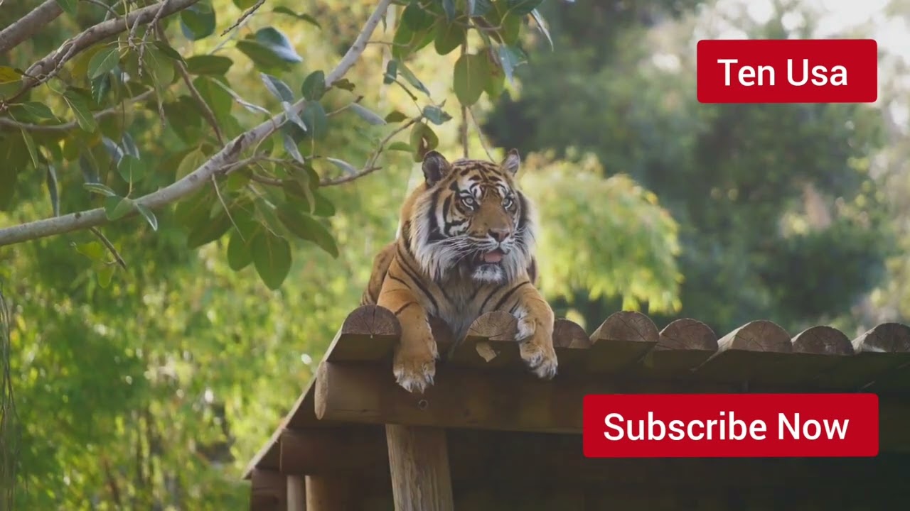 Top Ten Famous National Zoo In the world