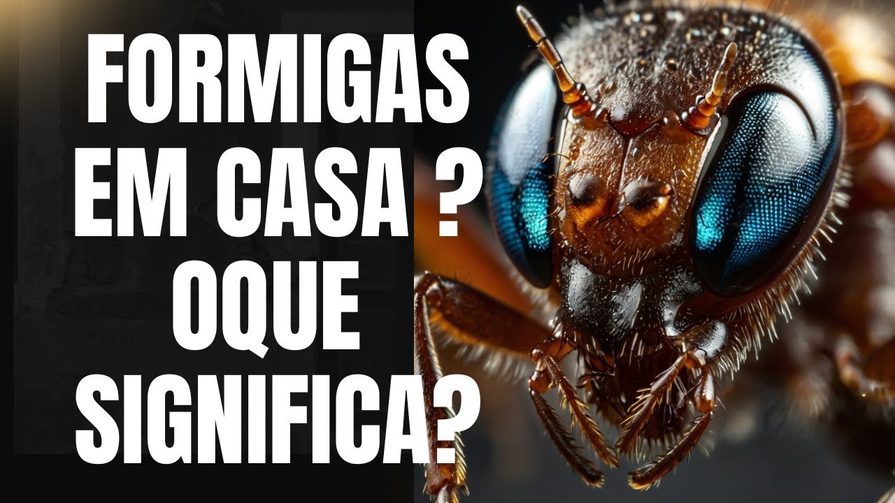 Formigas em casa oque significa ? – Um Sinal Espiritual que Muitos Ignoram