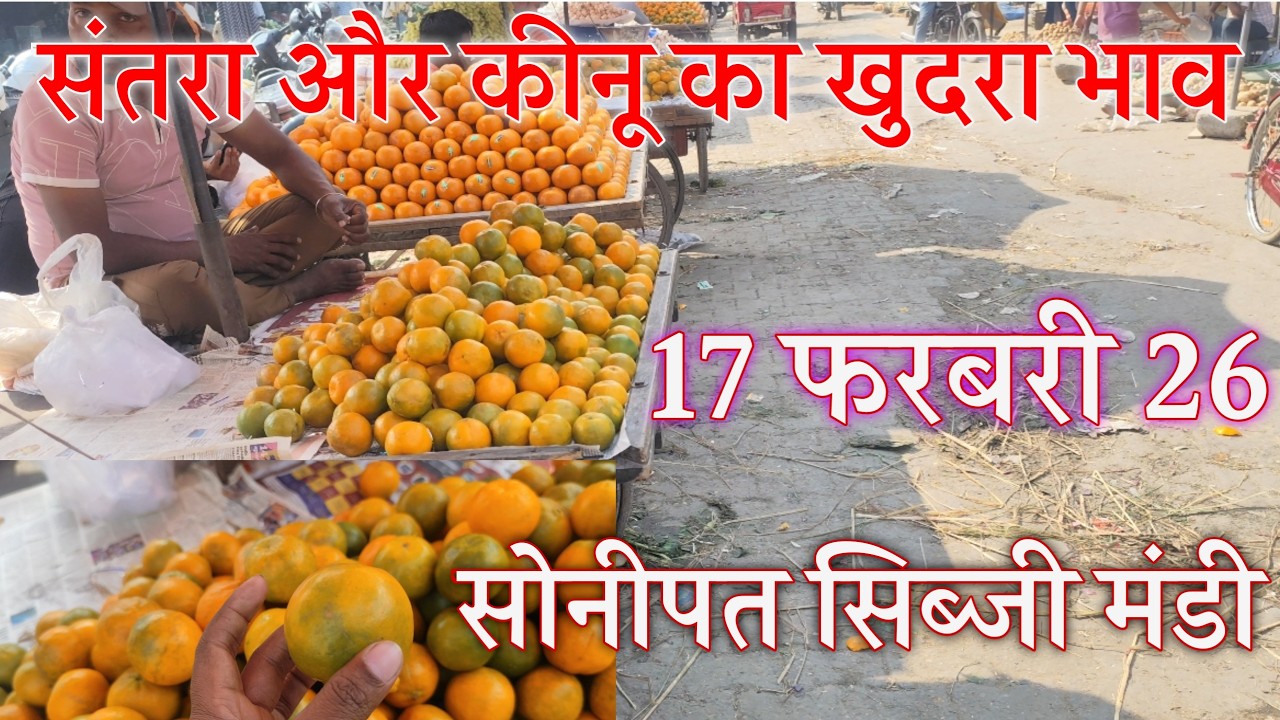 संतरे का रिटेल ताजा भाव सोनीपत सब्जी मंडी 🍊🍊🍊