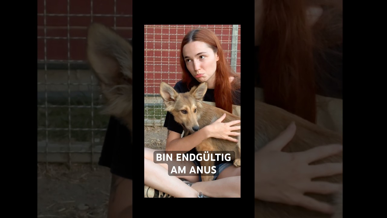hatte nie eine Wahl 🥲