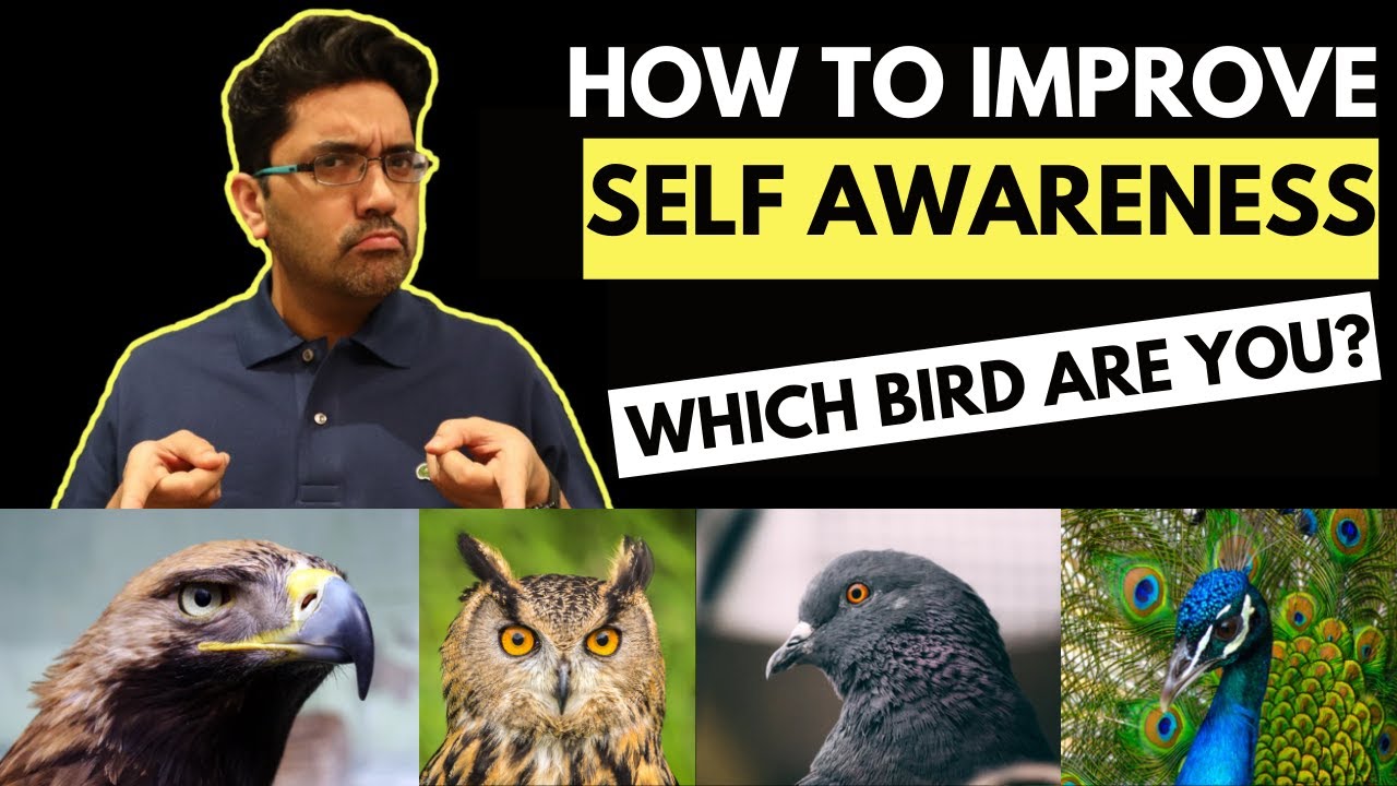 How to Improve SELF AWARENESS - Which BIRD are you?