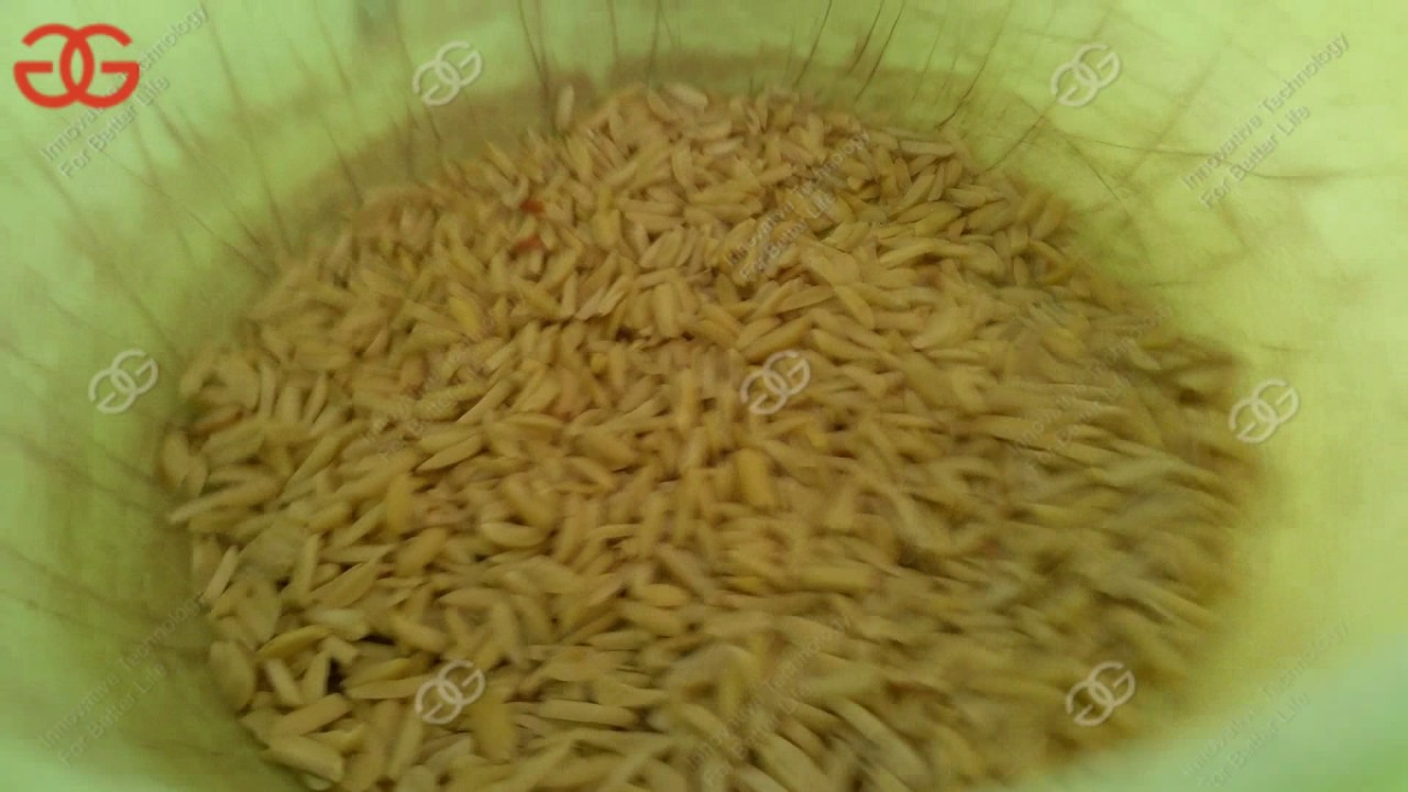Multi-functional Almond Badam Slivering Machine|Peanuts Dry Fruit Strip Cutting Machine