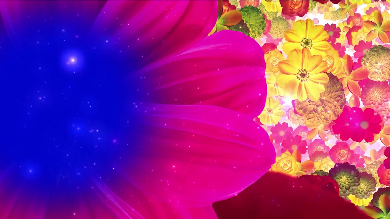 Free Wedding Flower Frame Blue Screen Background HD Video