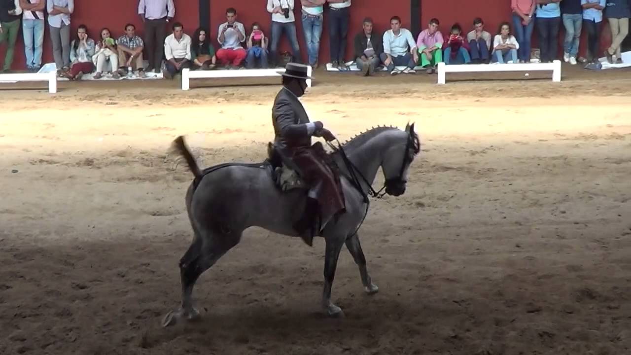 Rafael Arcos con Musica final Cpto España doma vaquera 2013