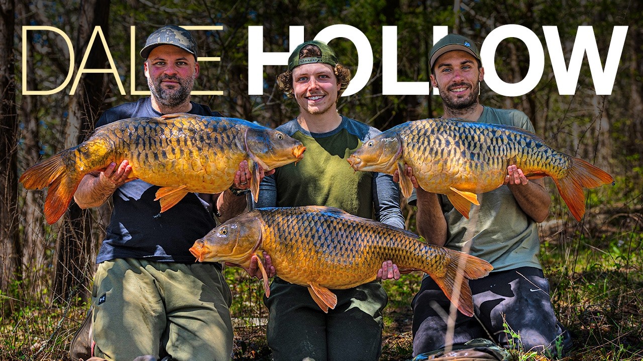 Dale Hollow - The Mecca of Carp Fishing in North America?
