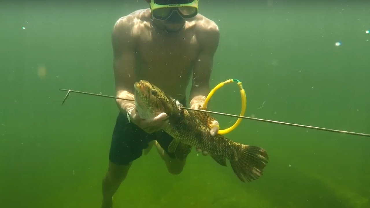 Mascrea&ccedil;&atilde;o: Pesca Tradicional na Bacia do Juruena