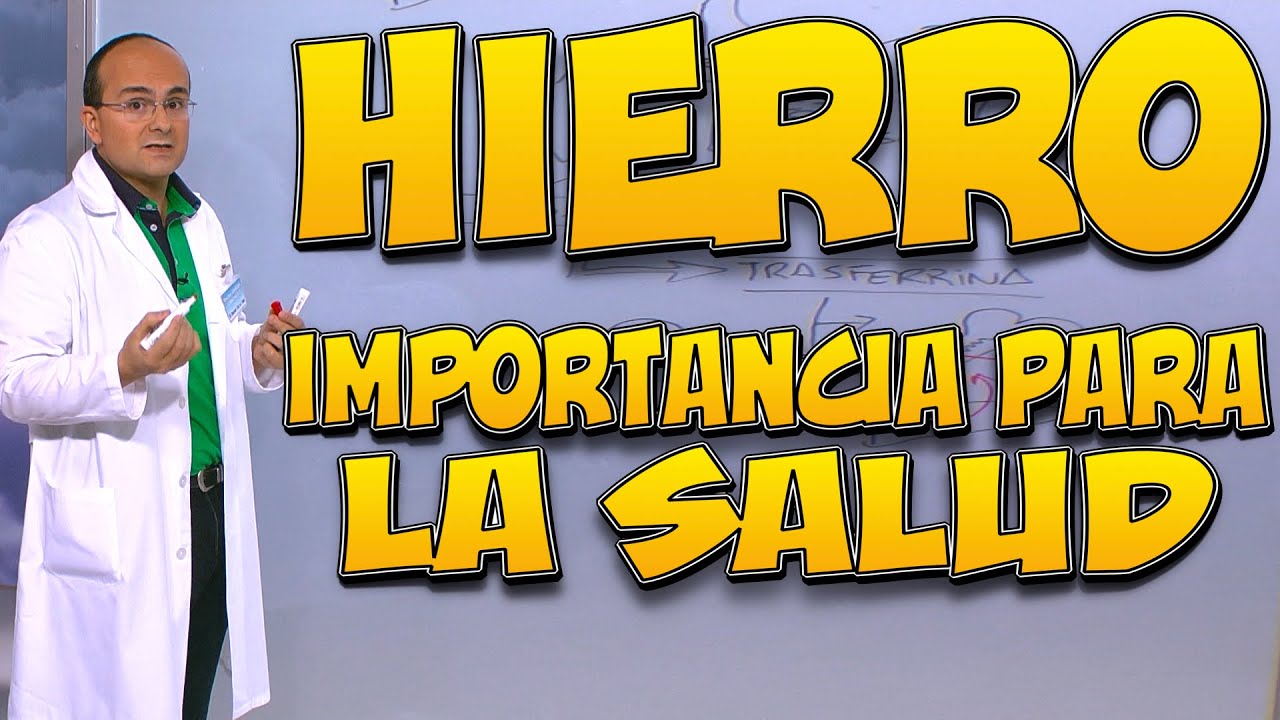 HIERRO, su IMPORTANCIA para la SALUD, en qué ALIMENTOS está, su VIAJE por el CUERPO y para qué SIRVE