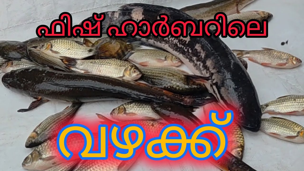 ഫിഷിങ് ഹാർബറിലെ കശ പിശ/thotapalli fishing harbour