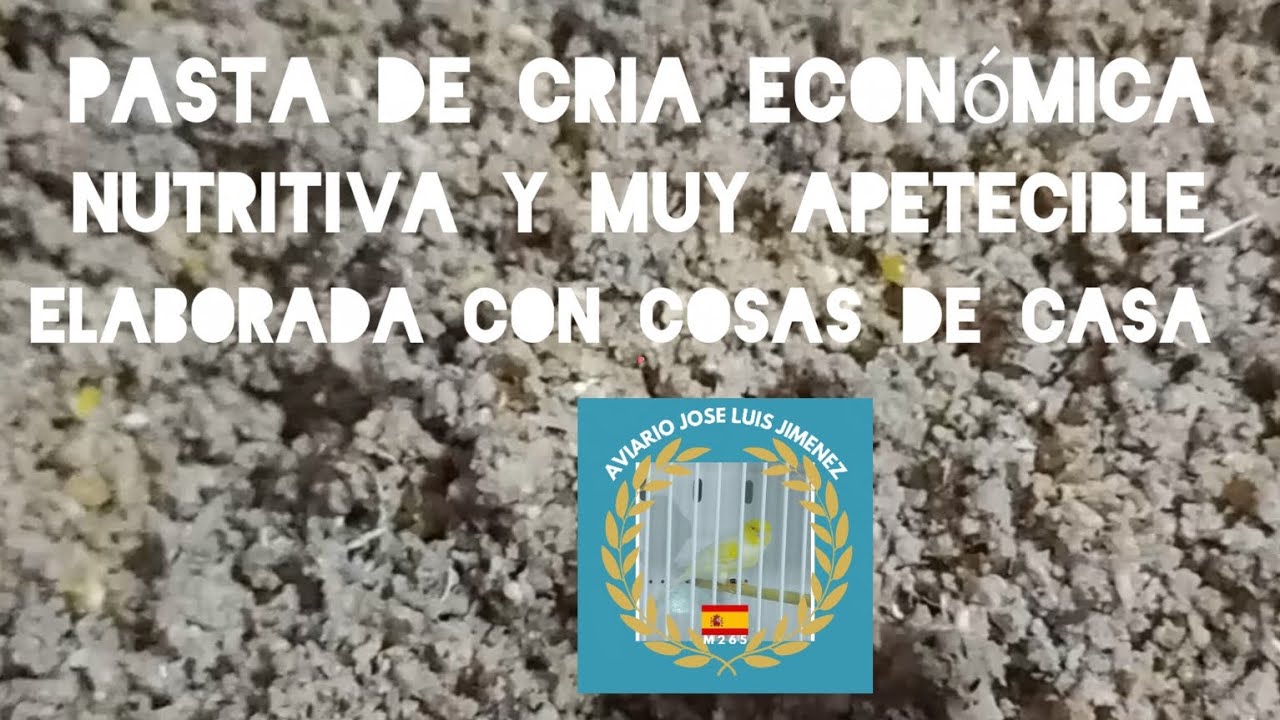 Pasta de cria económica, nutritiva y muy apetecible elaborada con cosas de la casa 
