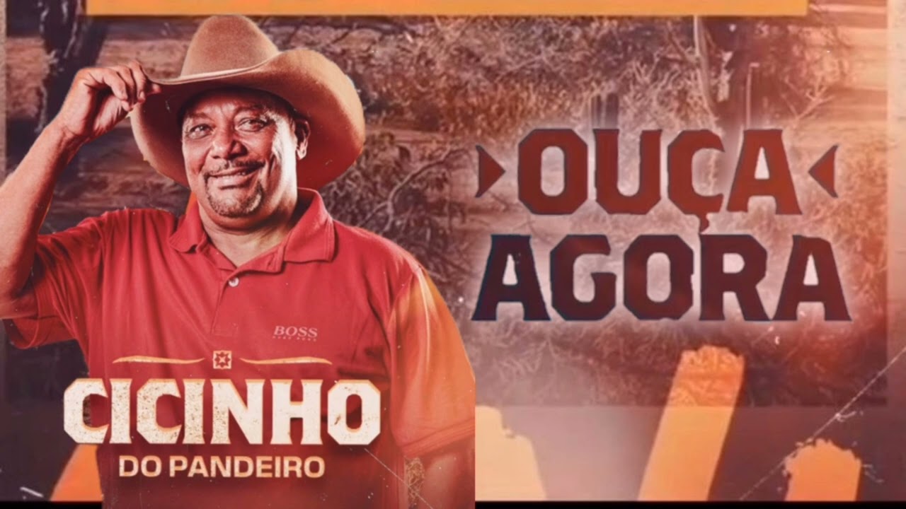 FORRÓ DE VAQUEJADA - CICINHO DO PANDEIRO (CD NOVO)
