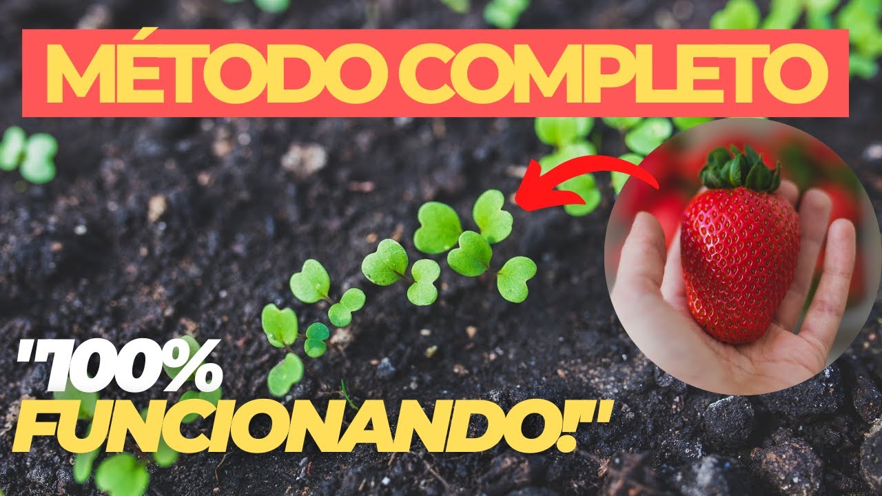 COMO GERMINAR SEMENTES DE MORANGO - MÉTODO ASSUSTADOR!