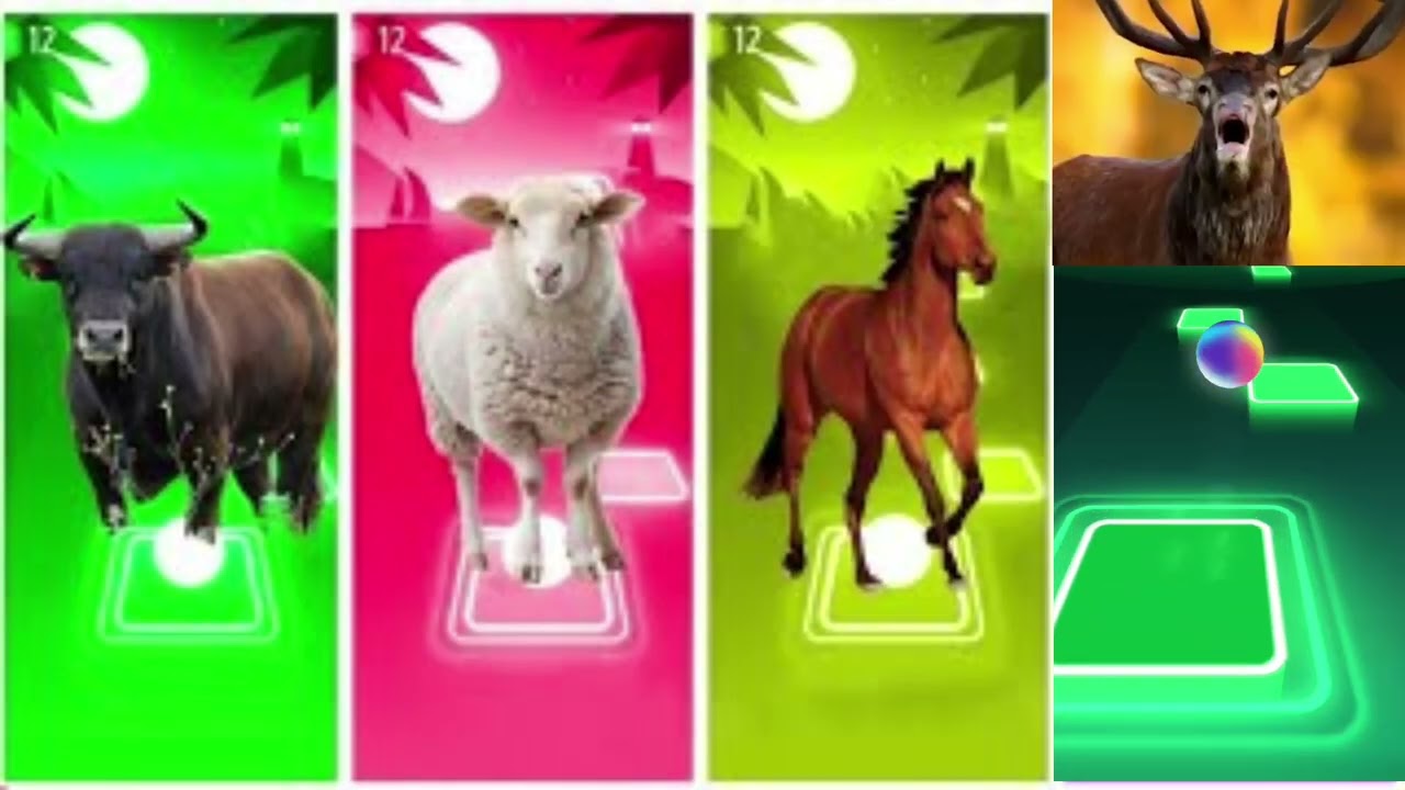 Funny Animals-Buffalo🐃🆚Sheep🐑🆚Horse🐎🆚Deer🦌
