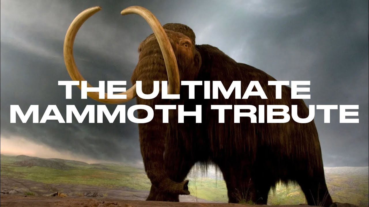 Mammoth tribute