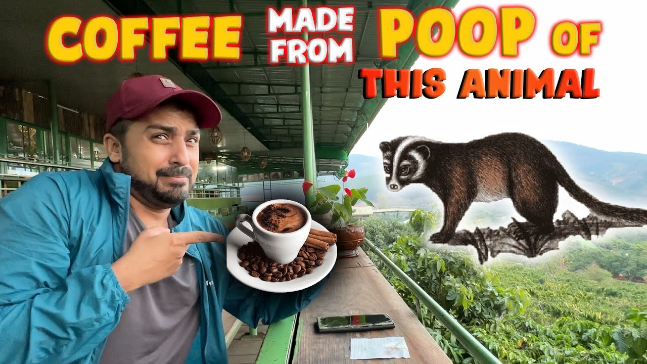 🇻🇳 TRYING MOST EXPENSIVE COFFEE IN THE WORLD | ALL YOU NEED TO KNOW ABOUT COFFEE  | EP-11