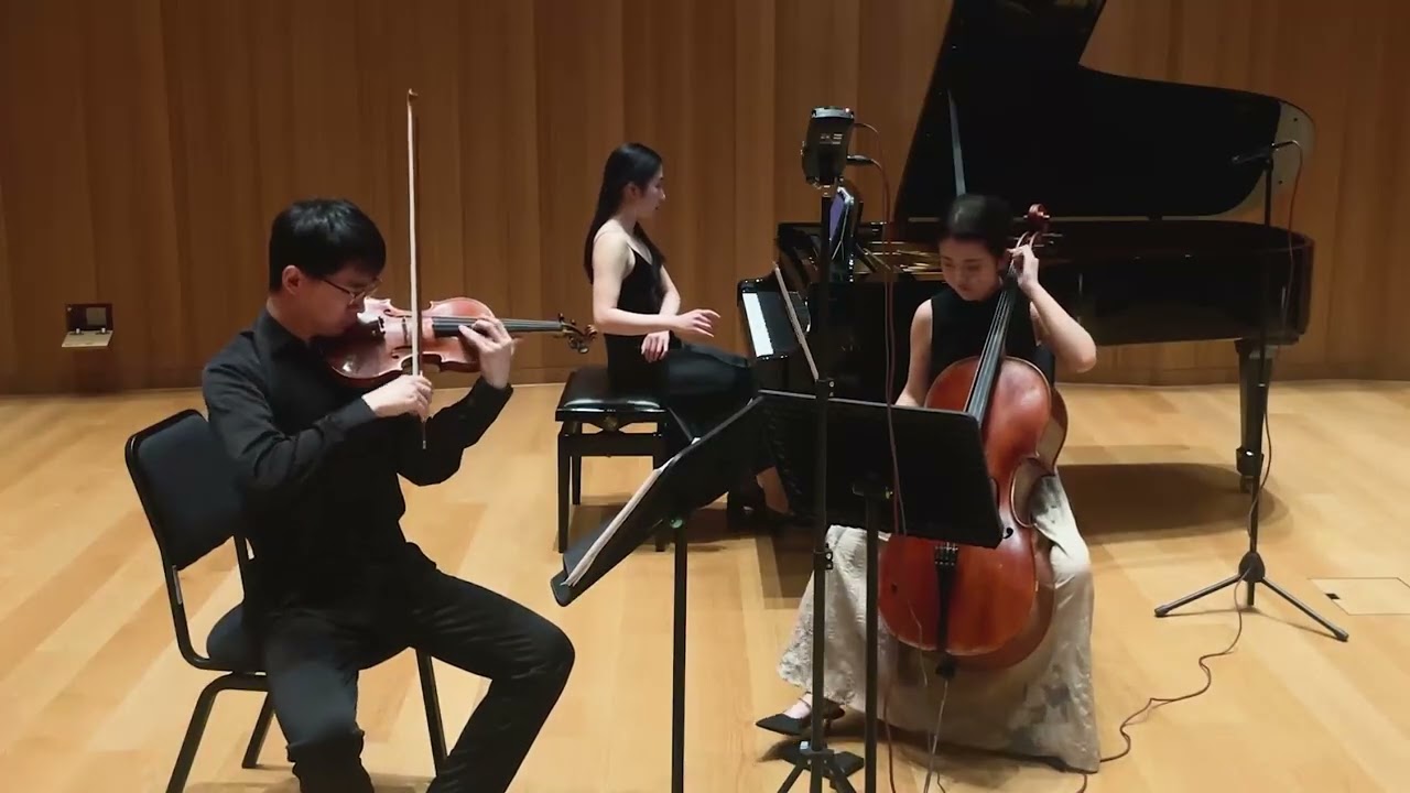 Smetana Piano Trio Movement 1
