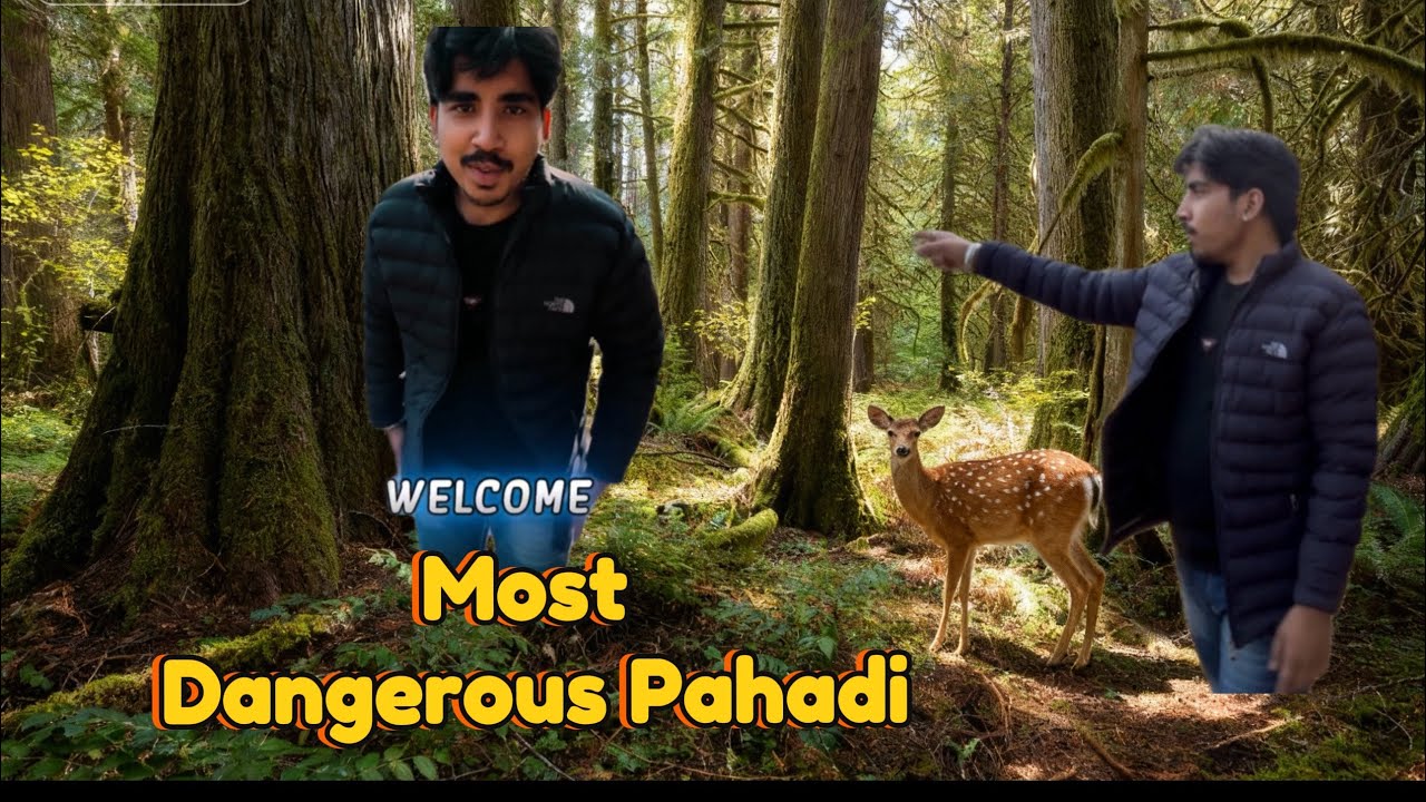 Most Dangerous Pahadi || Forest Vlogs Faridabad 