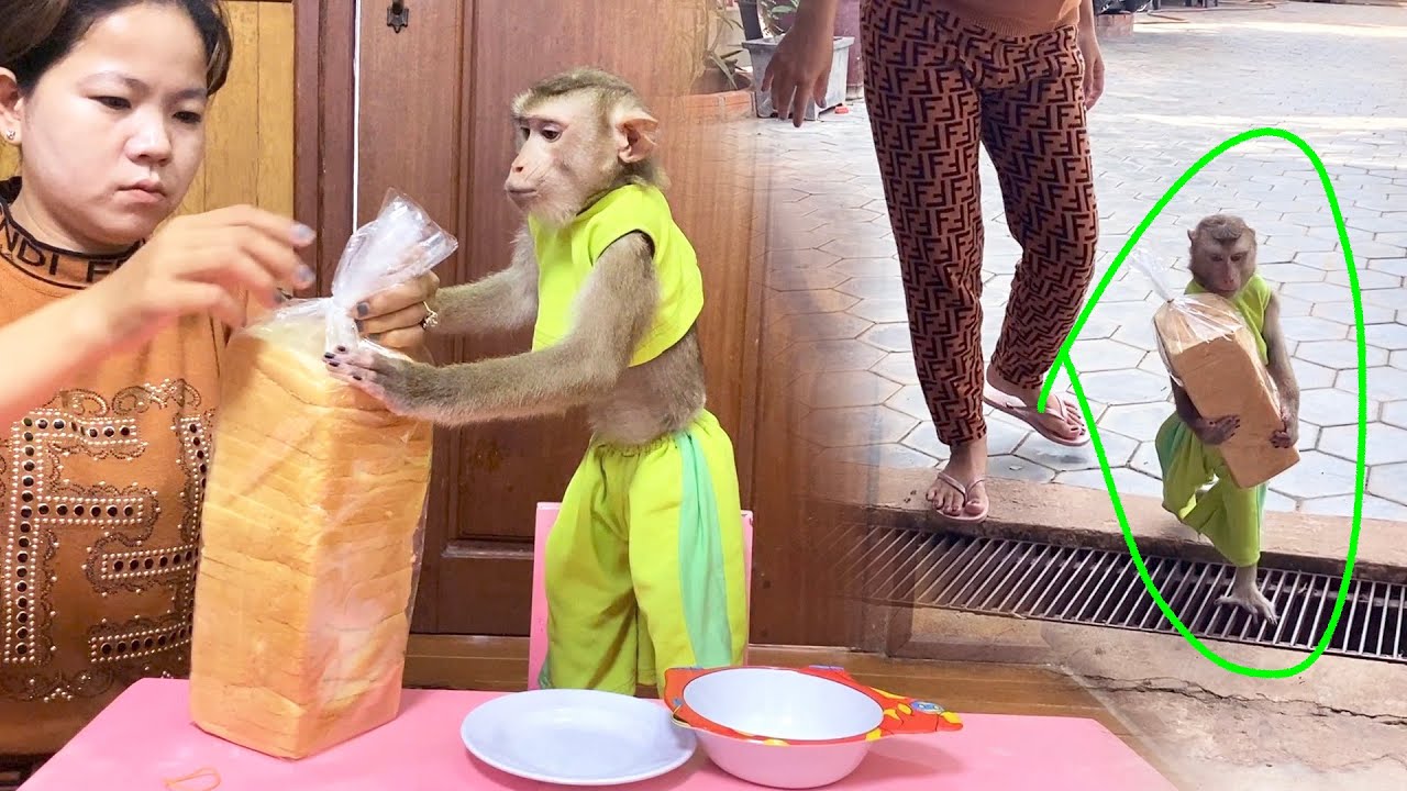 Tlkative Judee With Big PiIIow Bread Run Straiqht To Kitchen
