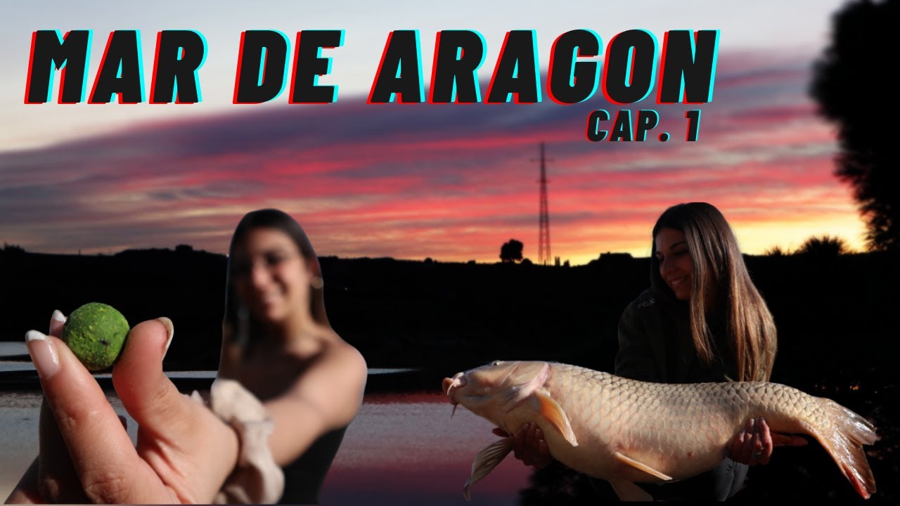 Carpfishing en Mar de Aragón. Cap 1. Grabamos las carpas saltando 🐋🎣