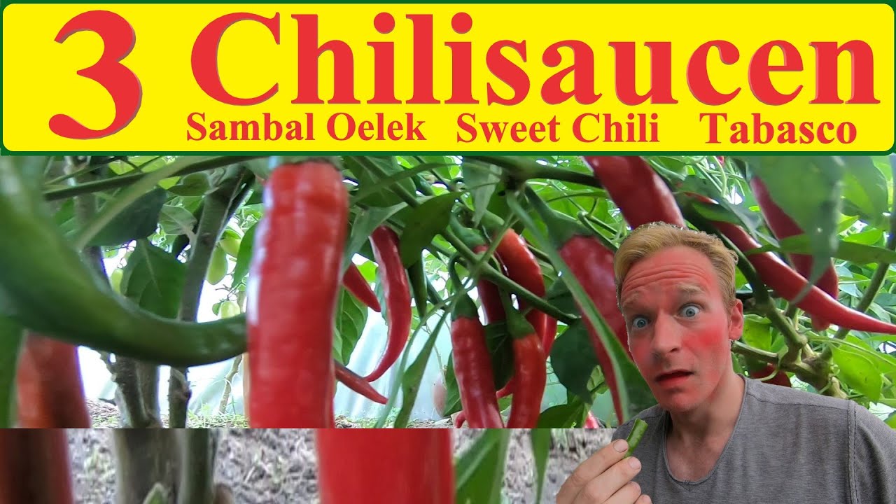 Chilisauce | Sambal Oelek | Sweet Chili Sauce | Tabasco | Peperoni einlegen