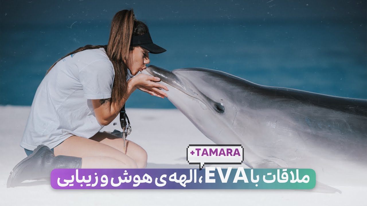 ملاقات با EVA ، الهه ی هوش و زیبایی