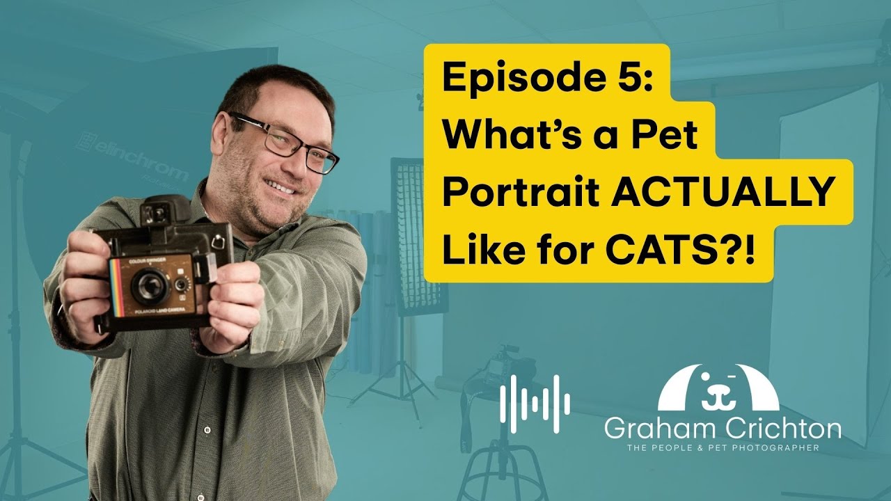 Ep 5: What Is a Pet Portrait Session ACTUALLY Like for CATS?